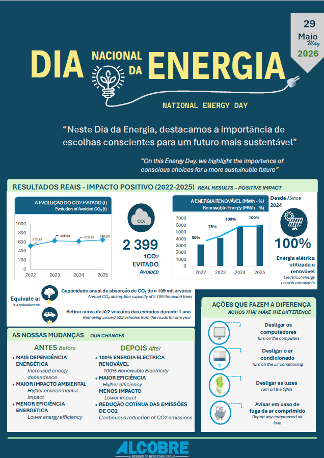Dia da energia 